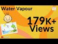 Understanding Water Vapor and Condensation