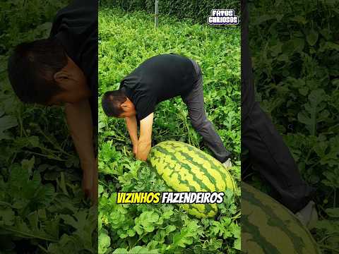 APÓS VARIAS CRÍTICAS ESSE HOMEM SURPREENDEU A TODOS