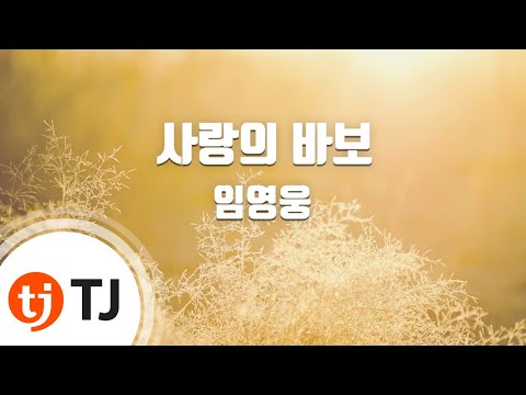 [TJ노래방] 사랑의바보 – 임영웅 / TJ Karaoke