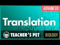Protein Synthesis and Ribosome Function