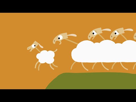 Animanimals: Sheep