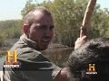 Crocodile Hunter Insights