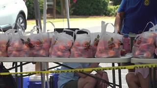 Lexington County Peach Festival celebrates 66 years