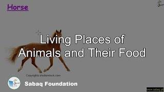 Living Places of Animals and Their Food