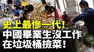 中國博士畢業生也找不到工作！史上最慘一代！畢業生在垃圾桶撿菜！　#看大陸