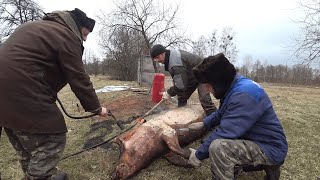 видео
