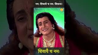 नम: शिवायै च नम: शिवाय। | Shri Krishna