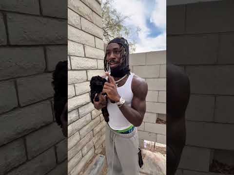 🥷s be gangster till a puppy comes around