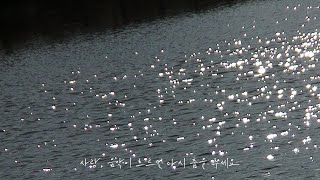 𝐏𝐥𝐚𝐲𝐥𝐢𝐬𝐭 | 사랑, 음악이 흐르면 다시 춤을 추세요