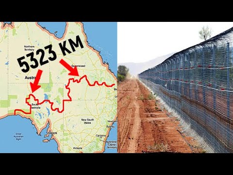 Зачем австралийцы построили самый длинный забор в мире?!