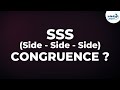 Triangle Congruence Conditions