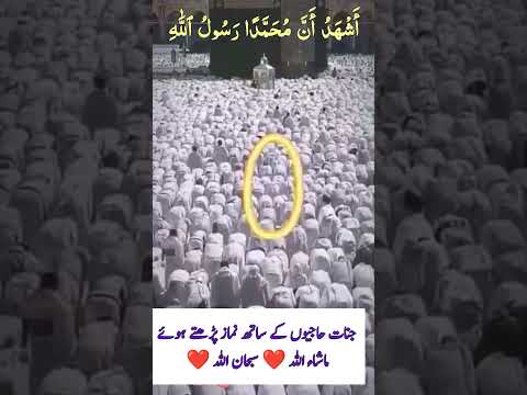 جنات حاجیوں کے ساتھ نماز پڑھتے ہوئے 🕋 سبحان اللہ ❤️ #جنات #حاجی #haramsharif #hajj #loveislam849