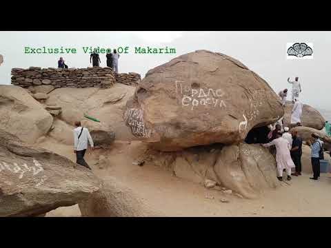 মাকড়শা জাল বুনে কবুতর ডিম পেড়ে নবীজিকে সহায়তা করলো- মাকারিম (৪৫)