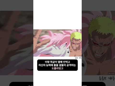 뇌절을 거듭하는 원피스 근황