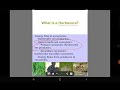 Understanding Herbivores
