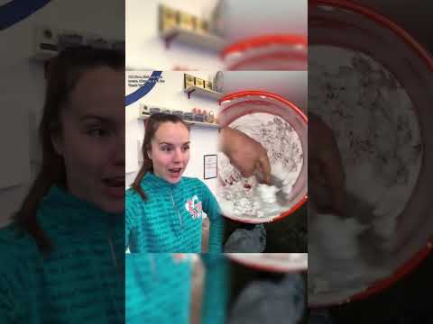 ✨ #povcomedy #funny #skit #foryou #viralcomedy