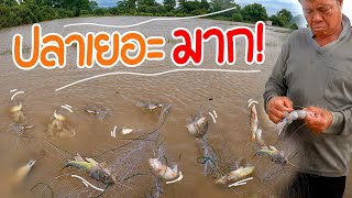 จับปลาได้เยอะอีกแล้ว !! เปิดหัวก็เซอร์ไพรส์! ได้ปลาเอเลี่ยน 4 ตัวติด