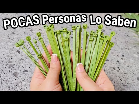 Estos Sujetadores son un Tesoro y poca Gente conoce sus usos
