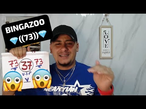 BINGAZOO 73 PREMIO MAYOR LA MIA ALEX NÚMEROS