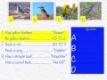 Identifying Organisms with Dichotomous Keys