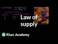 Understanding Supply and the Law of Supply