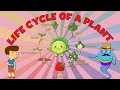 Plant Life Cycle and Pollination Concepts