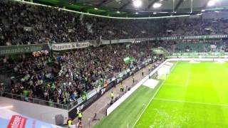 VfL Wolfsburg - 1. FSV Mainz 05  2014/15