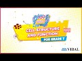 Cell Structure and Function Concepts