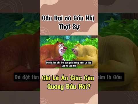 Gấu Đại và Gấu Nhị Thật Sự Chỉ Là Ảo Giác Của Quang Đầu Hói?#youtubeshorts