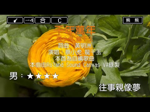 千年萬年-蔡小虎&龍千玉(Karaoke伴奏)