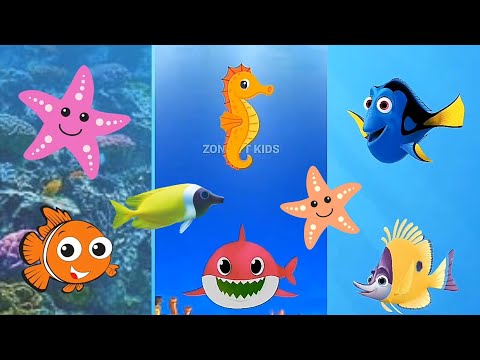 Baby Shark happy dance song with friends under seaworld | Animals Sea Baby Shark song video