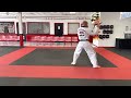 Martial Arts Techniques and Practices