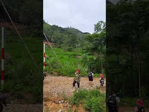 Sạt lở tại thôn Múi 1, xã Yên Sơn, huyện Bảo Yên | THLC
