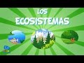 Ecosystem Concepts and Examples