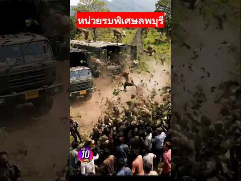 ขำกลิ้งลิงกับหมา  | AI 100%