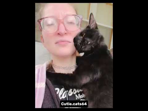 Emine Erdoğan tarafından yürütülen