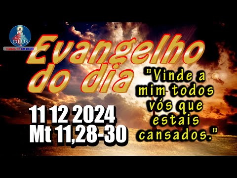 EVANGELHO DO DIA 11/12/2024 COM REFLEXÃO. Evangelho (Mt 11,28-30)