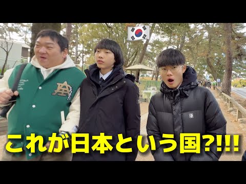 これが日本という国?!!! 初来日した韓国の中学生を公園に連れて行ったら衝撃を受けました...アニメの中にいるみたい