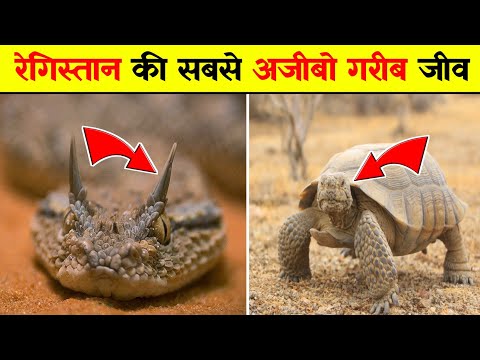 😱 रेगिस्तान में पाए जाने वाले 3 सबसे अजीबो गरीब जीव 🔥|| #shorts