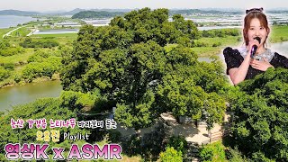 예쁘잖아😍 #오유진 과 함께하는 논산시 강경읍 북옥리 느티나무  / KBS 대전