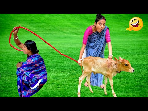 Must Watch Very Special Funny Video 2022 Totally Amazing Comedy Episode 302 By @cdmama2
