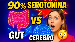 Serotonina 90 %: así la fabrica tu microbiota y no tu cerebro 🧠🦠