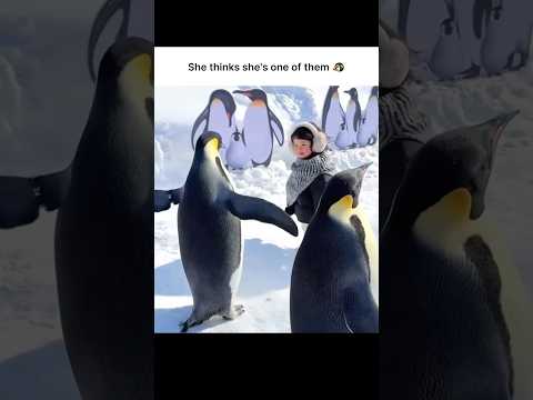 She thinks she's one of them 🐧 | cute baby ♥️ | penguin #youtubeshorts #cutebaby #foryou