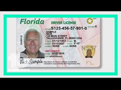 dmvflorida.org drivers license check