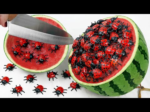 Stop Motion Cooking Make beetle mukbang salad from watermelon ASMR  Cooking Funny Videos