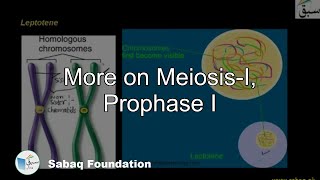 More on Meiosis-I, Prophase I
