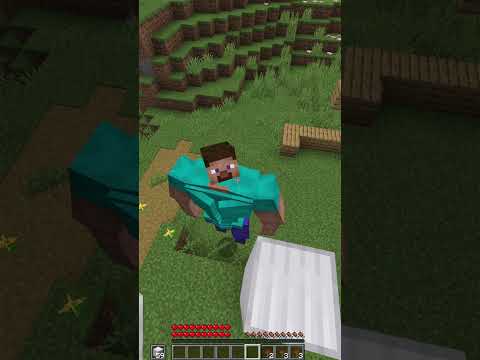 Steve got reversed by Golem.