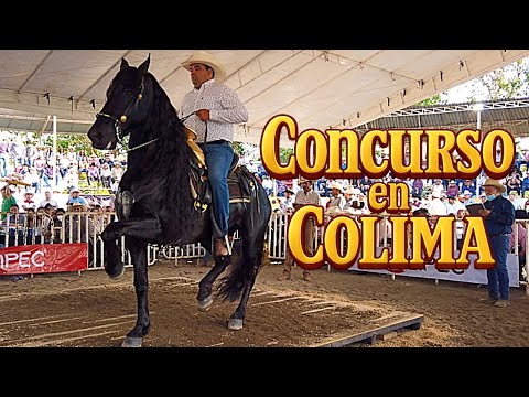 Caballos Bailadores, Pedida de Matrimonio y Revelación de Sexo en COLIMA 🇲🇽