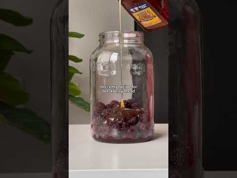 HOW TO MAKE BLACKBERRY MEAD (FULL PROCESS)