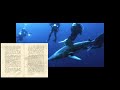Eugenia's Ocean Adventures and Inspirations